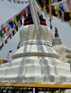 འཇམ་དབྱངས་མཁྱེན་བརྩེ་ཆོས་ཀྱི་བློ་གྲོས།